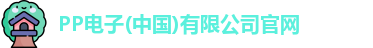 pp电子